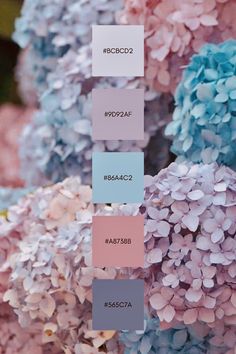 some blue and pink flowers with the names of each flower in different colors on them