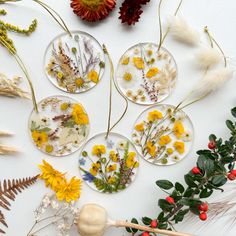 dried flowers and plants are arranged in circles on a white surface next to two wooden sticks