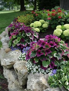 colorful flowers and rocks in a garden