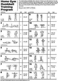 an exercise chart with exercises for the body