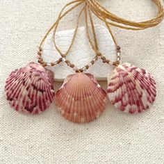 Beautiful Florida scallop seashells accented with sparkly microfaceted multicolored gemstones are handwoven onto braided waxed cord. I found these shells on the beach on the east coast of Florida🦩. Waxed cord is strong and waterproof🌊 Perfect for women with an active lifestyle.️ Each of these are one-of-a-kind, and you will receive the necklace in the photo. These are ready to ship and will be finished to your desired length with a mother of pearl button clasp. Please choose your desired shell and length from the drop down menus. Shells are all about 1 1/4 inch in diameter. 💙Handmade by me with love in coastal Southern Maryland. 💙Carefully packaged in a small box and will arrive ready to gift, even if it's for yourself:-) Please leave a message for me at checkout if you would like me t Ocean Theme Jewelry, Southern Maryland, Wire Ideas, Beautiful Florida, Coastal Jewelry, Beachy Jewelry, Diy Jewelry Display, Seashell Pendants, Beach Necklace