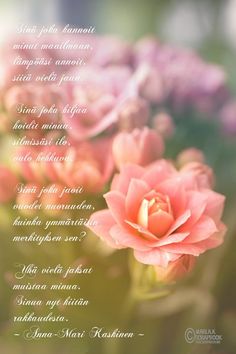 pink flowers are in the foreground with a poem written below them that reads,