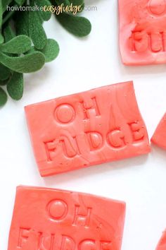 three orange soap bars with the words oh fudge on them next to some green leaves