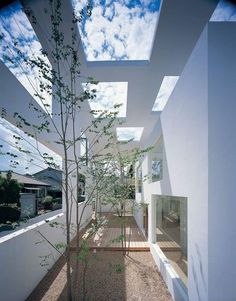 the inside of a house with skylights and trees