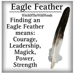 Eagle Feather Meaning, Sleeve Reference