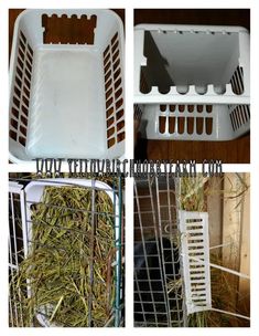 four pictures show the different stages of growing hay in their cages and how to use them