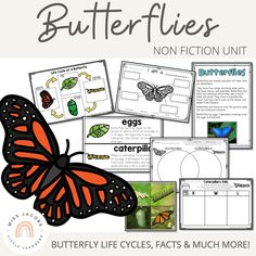 Butterflies and Caterpillars Unit - Living Things and Life Cycles - Miss Jacobs Little Learners All About Butterflies, Butterfly Life Cycle Activity, Butterfly Science, About Butterflies, Insects Preschool, Life Cycles Activities, Sequencing Cards, Insects Theme