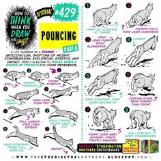 a poster showing how to draw cats in different poses and positions, with instructions on how to