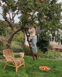 a man climbing up the side of a ladder to pick apples from an apple tree