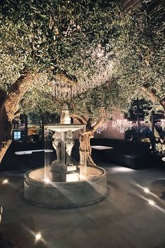 an outdoor fountain surrounded by trees at night