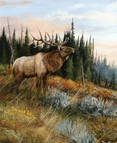 a painting of an elk in the wilderness