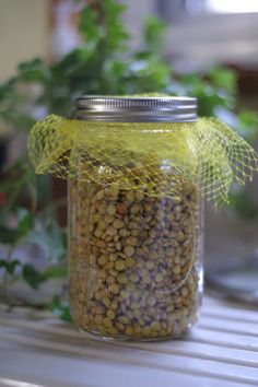 a jar filled with green beans sitting on top of a shelf