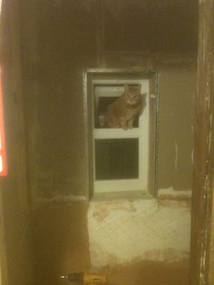 a cat sitting on top of a window sill in a room with no walls