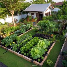 a garden with lots of green plants in the center and small white house behind it