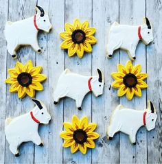 decorated cookies with sunflowers and cows are arranged in the shape of bulls on a wooden table