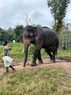 an elephant walking down a dirt road next to a man with a stick in its mouth