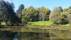 a pond in the middle of a park surrounded by trees