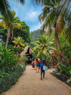 three people walking down a dirt path in the jungle with palm trees on either side