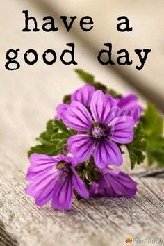 purple flowers with green leaves on wooden planks and the words have a good day