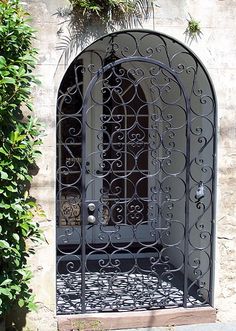 an ornate iron door on the side of a building with potted plants behind it