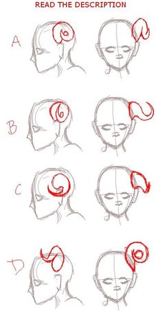 how to draw the head and neck in different ways, with instructions on how to do it