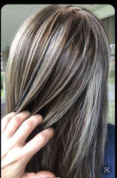 blending in greys in brown hair - Yahoo Image Search Results Brown Hair Pictures, Hair Shapes, Silver Hair Highlights, Gray Hairstyles, Grey Hair Transformation, Going Grey, Grey Hair Inspiration, Gray Hair Growing Out, Silver Hair Color