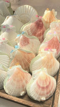 many seashells on display in a wooden box with other sea shells around them