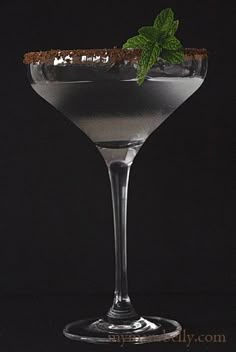 a martini glass with a mint garnish on the rim and a black background