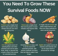 an image of food that you need to grow these survival foodsnoww info poster