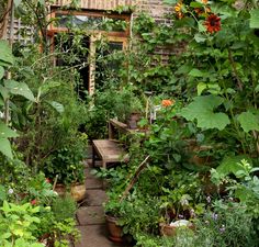 a garden filled with lots of different types of plants and flowers next to a brick building