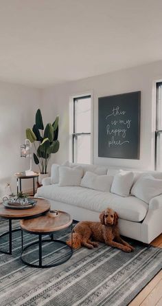 a living room filled with furniture and a dog laying on top of a rug in front of two windows