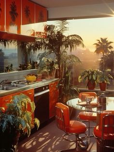 an orange kitchen with palm trees and potted plants on the windowsill at sunset