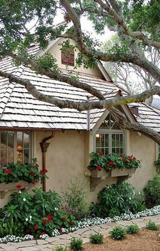 a small house with potted plants in front of it and a large tree over the door