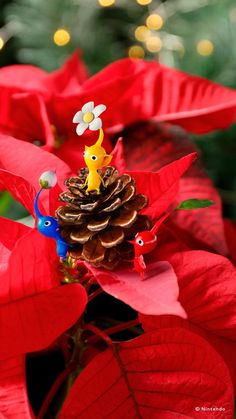 a close up of a christmas decoration on a poinsettia