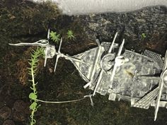 a model of a sci - fi fighter plane is shown on the ground with plants growing out of it