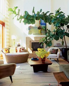 a living room filled with lots of furniture and a large potted plant in the corner