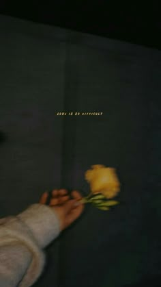 a person holding a yellow rose with the words love is so ordinary written on it