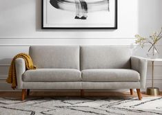 a living room with a gray couch and white walls