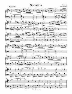 the sheet music score for sonatina