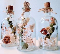 three glass bottles with flowers and leaves in them