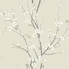 Order 2927-81805 Newport Monterey Ivory Floral Branch Ivory A-Street Prints Wallpaper Branch Wallpaper, Matte Black Background, Wallpaper Boulevard, Brewster Wallpaper, Wallpaper Warehouse, A Street Prints, Silver Mist, Wallpaper For Sale, Chinoiserie Wallpaper