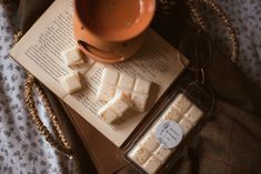 an open book and some pieces of wax on top of a table next to a potted plant