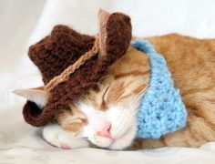 an orange and white cat sleeping wearing a knitted hat with deer antlers on it