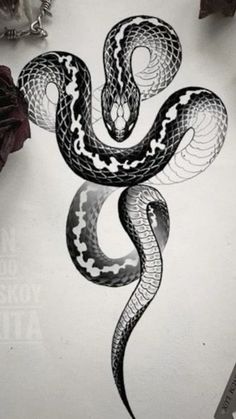 a black and white drawing of a snake