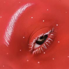 the eye of a red creature with white speckles