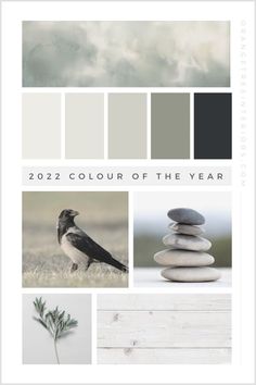 the color scheme is grey, white and gray with some black birds on top of it