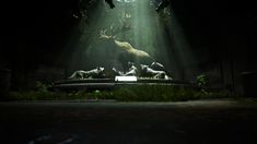 the light shines brightly through the trees and into the dark room with animals on display