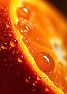 an orange slice with water drops on it