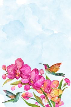 a watercolor painting of pink orchids and a hummingbird on a blue background