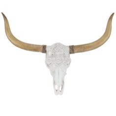 an animal skull with long horns on a white background